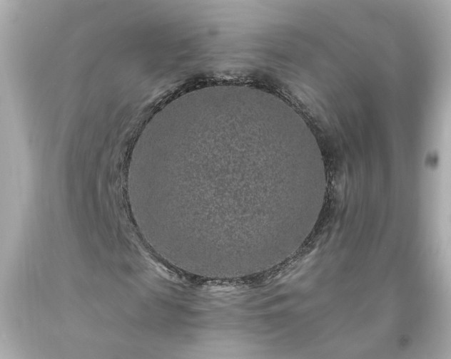 X0000094170817200711020939