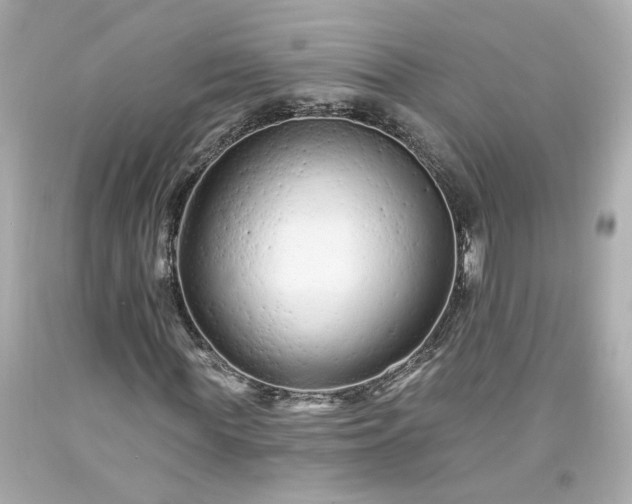 X0000094170819200711020939