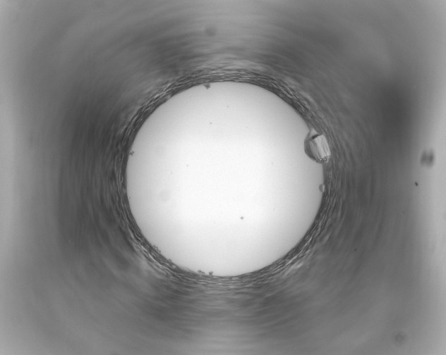 X0000094170820200711020939