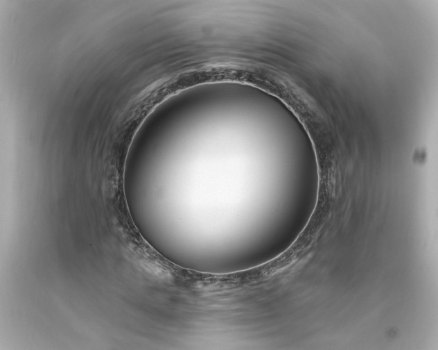 X0000094170821200711020939