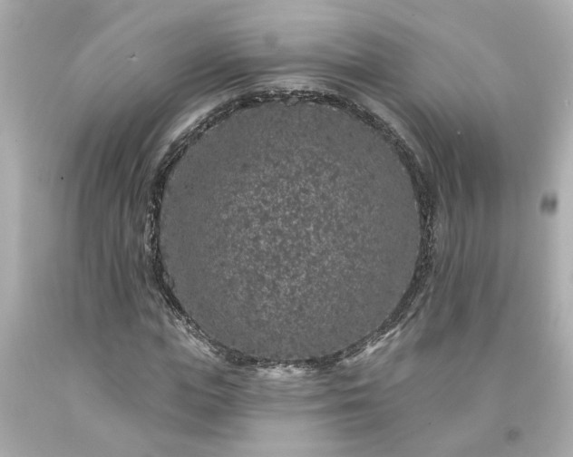 X0000094170823200711020939