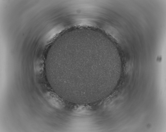 X0000094170824200711020939