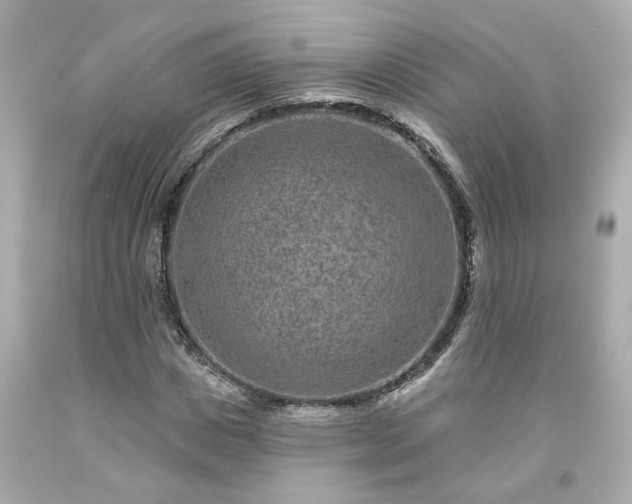 X0000094170825200711020939