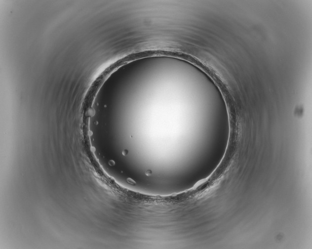 X0000094170830200711020939
