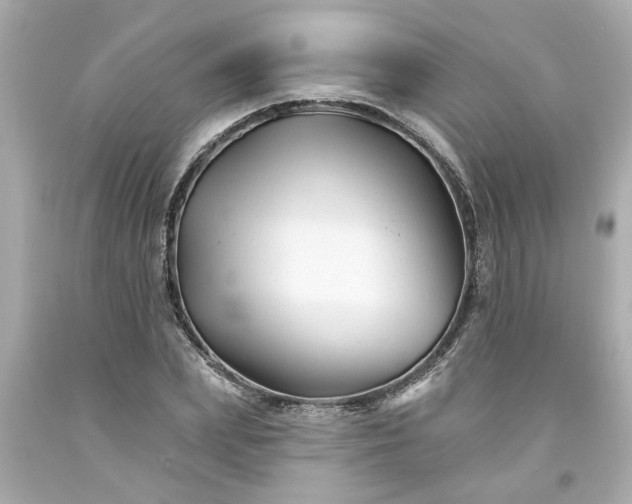 X0000094170831200711020939