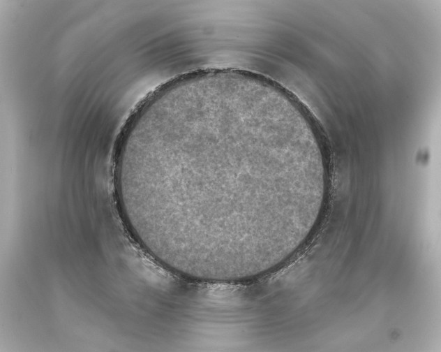 X0000094170832200711020939