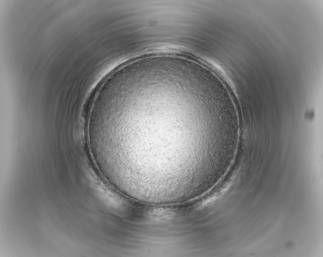 X0000094170835200711020939