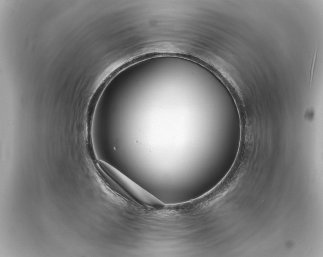 X0000094170837200711020939