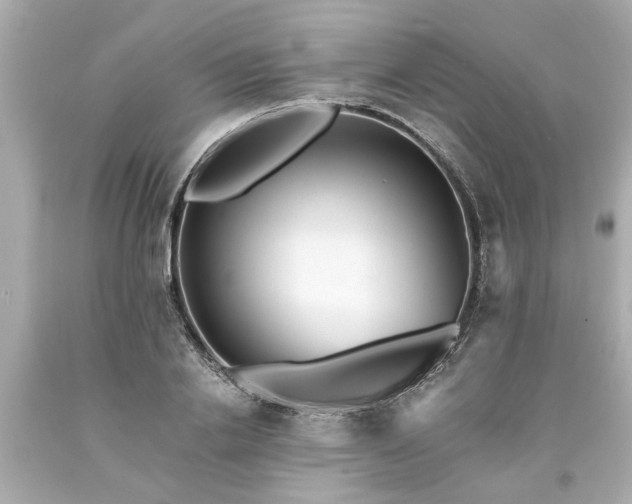X0000094170838200711020939