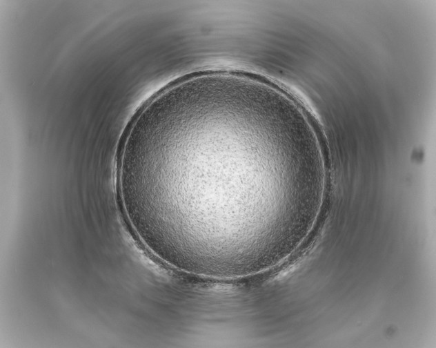 X0000094170839200711020939