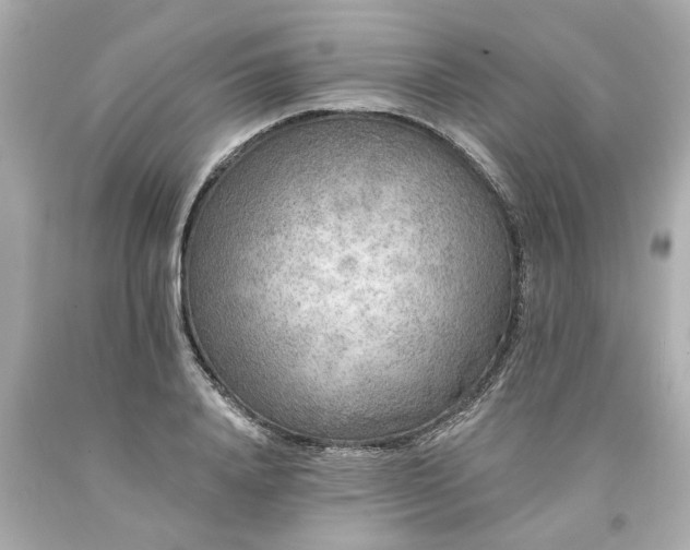X0000094170840200711020939