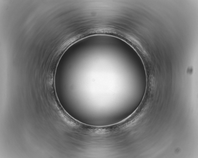 X0000094170841200711020939