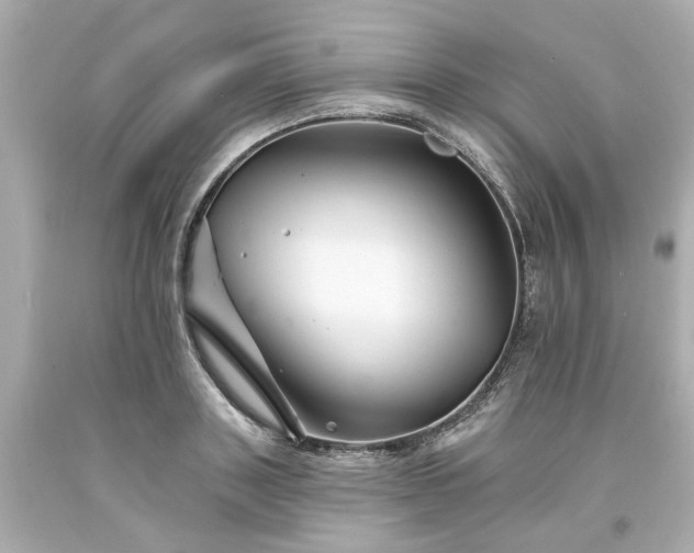 X0000094170843200711020939