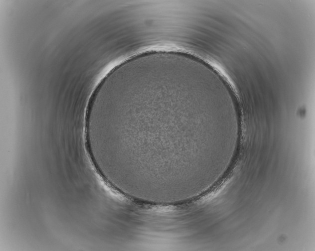 X0000094170845200711020939