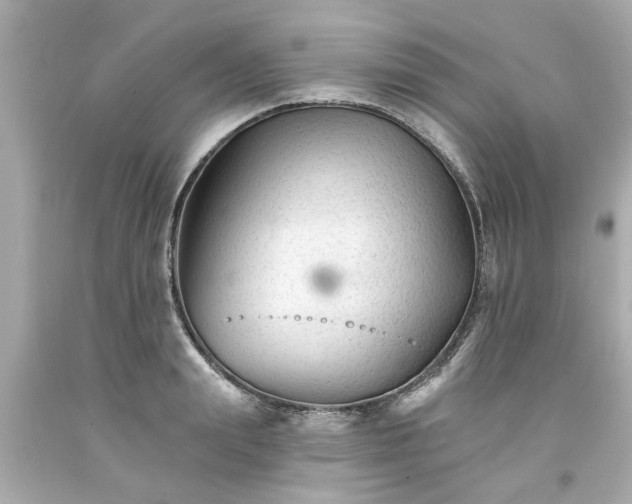 X0000094170847200711020939