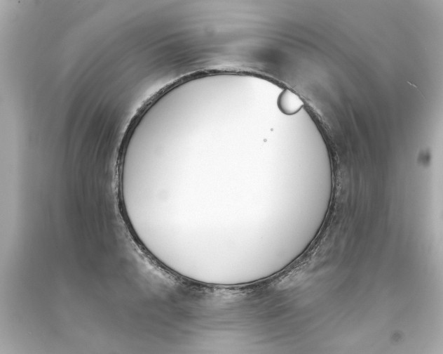 X0000094170848200711020939
