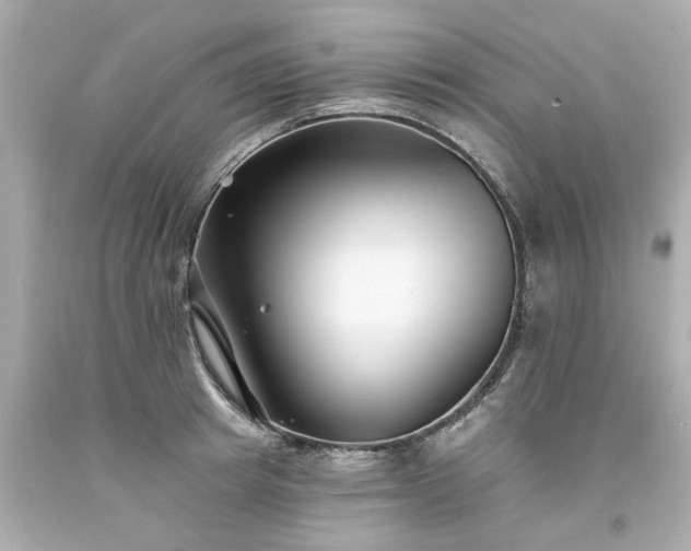 X0000094170849200711020939
