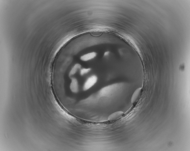 X0000094170851200711020939