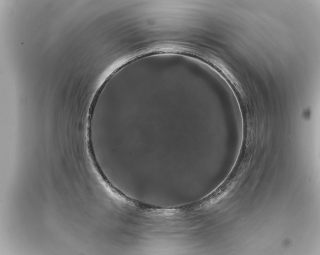 X0000094170853200711020939