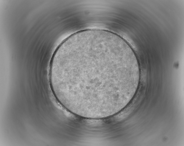 X0000094170856200711020939