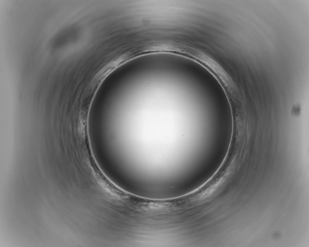 X0000094170857200711020939
