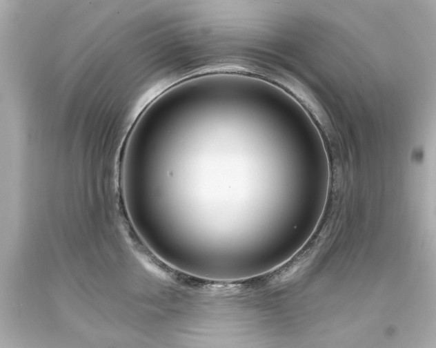 X0000094170858200711020939
