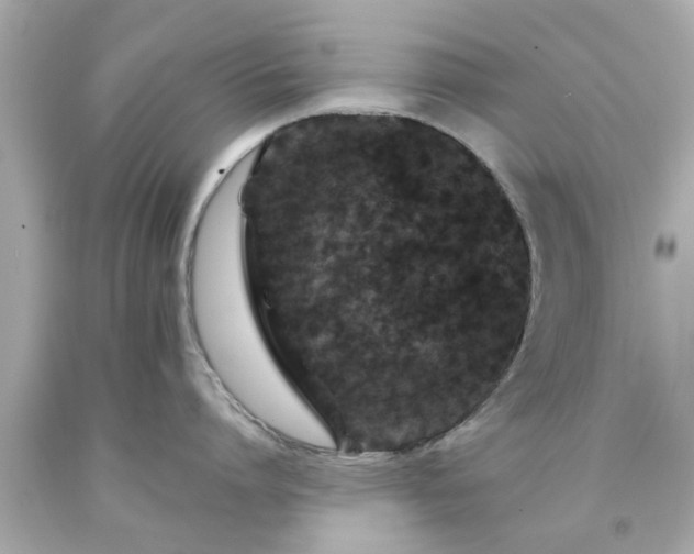 X0000094170864200711020939