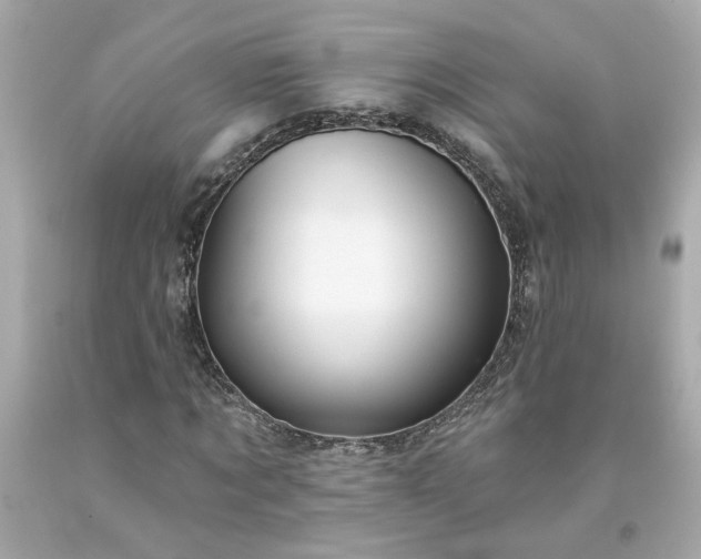 X0000094170869200711020939