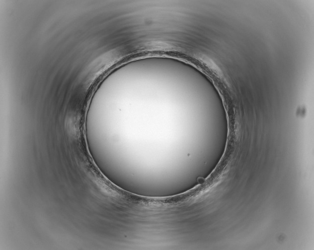 X0000094170873200711020939