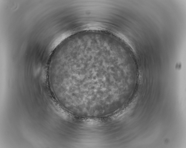 X0000094170874200711020939