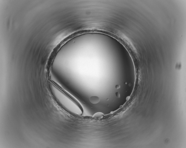 X0000094170876200711020938