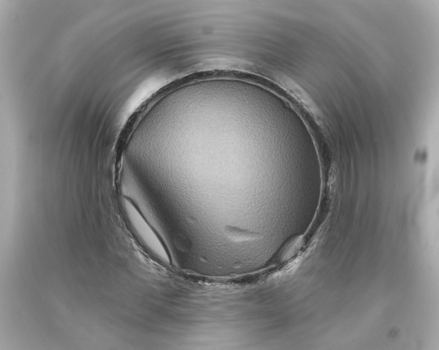 X0000094170877200711020938