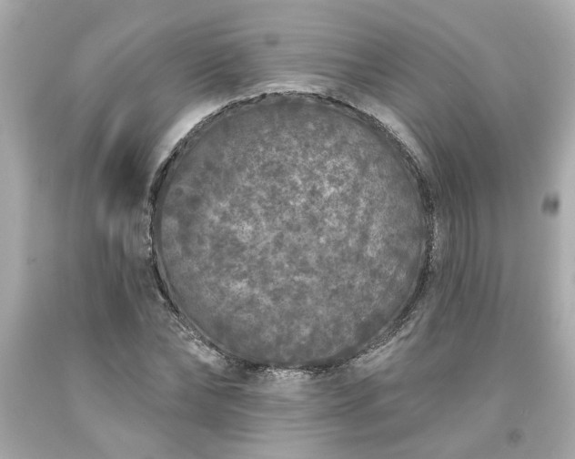 X0000094170878200711020938
