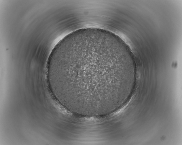 X0000094170879200711020938