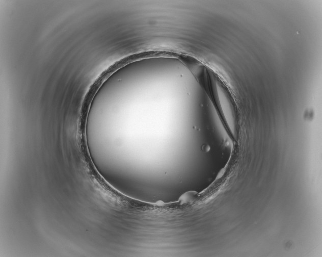 X0000094170880200711020938