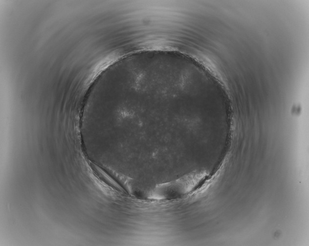 X0000094170881200711020938