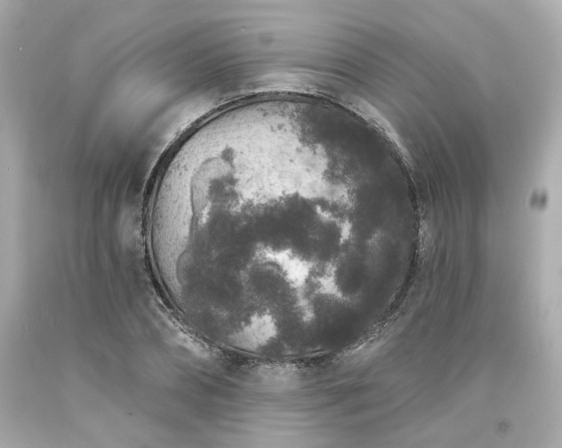 X0000094170882200711020938