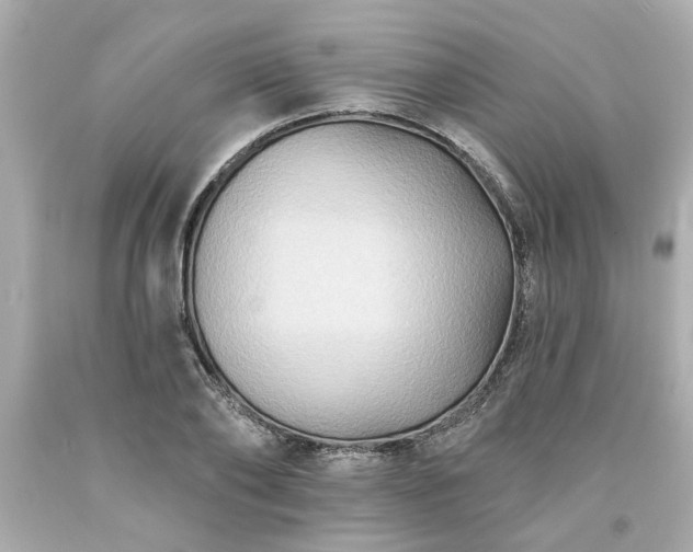 X0000094170886200711020938