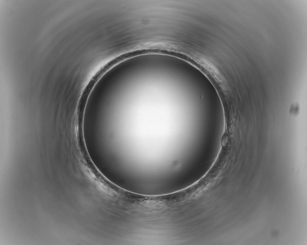 X0000094170888200711020938