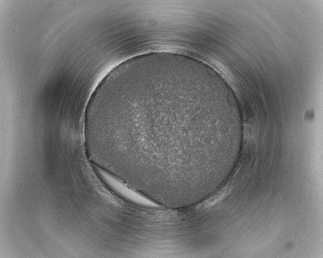 X0000094170891200711020938