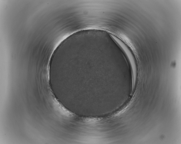 X0000094170892200711020938