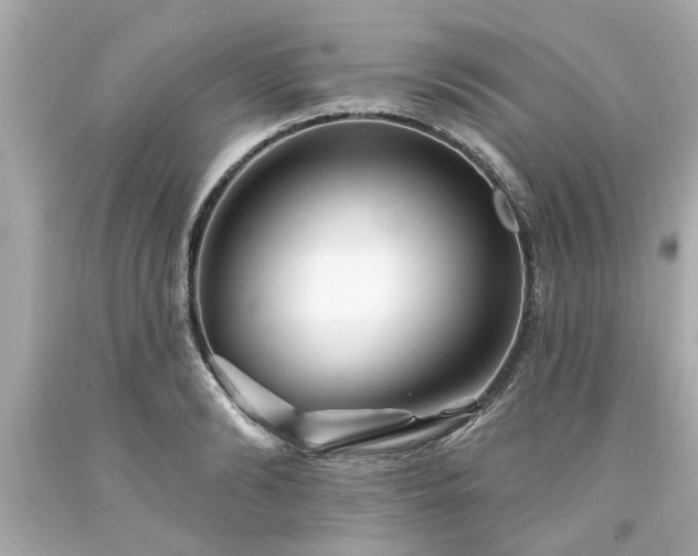 X0000094170894200711020938