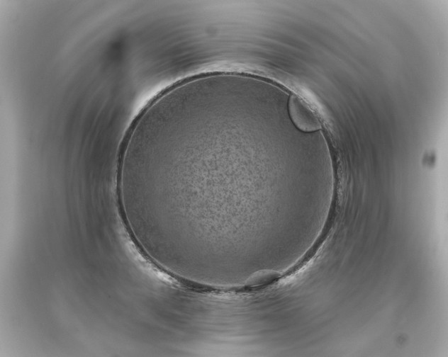 X0000094170896200711020938
