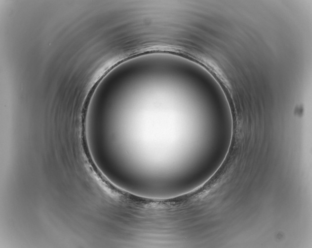 X0000094170898200711020938