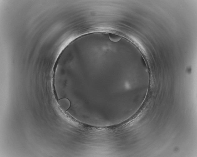 X0000094170899200711020938