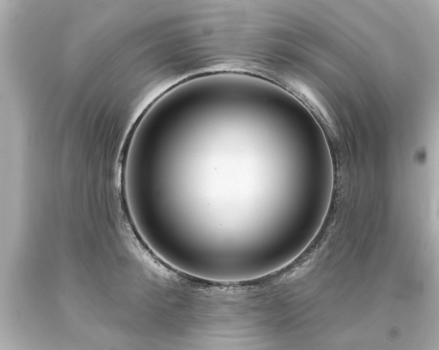 X0000094170900200711020938