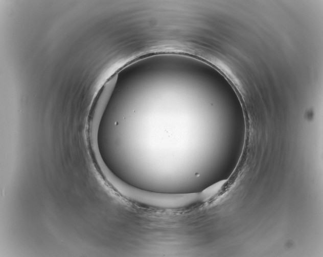 X0000094170901200711020938