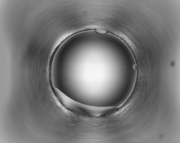 X0000094170902200711020938