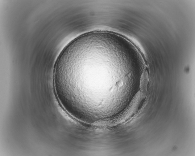 X0000094170903200711020938