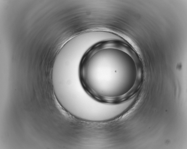X0000094170905200711020938